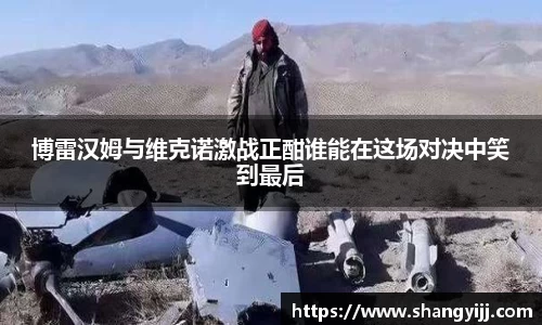 博雷汉姆与维克诺激战正酣谁能在这场对决中笑到最后